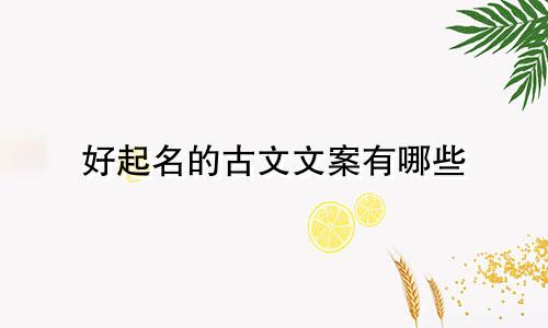 好起名的古文文案有哪些