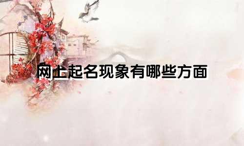网上起名现象有哪些方面
