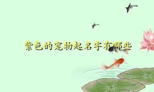 紫色的宠物起名字有哪些