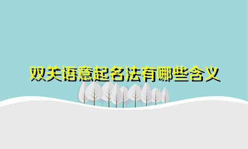 双关语意起名法有哪些含义