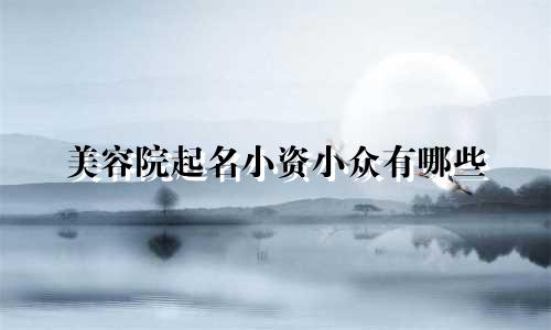美容院起名小资小众有哪些