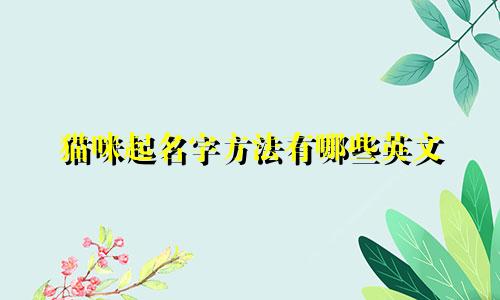 猫咪起名字方法有哪些英文
