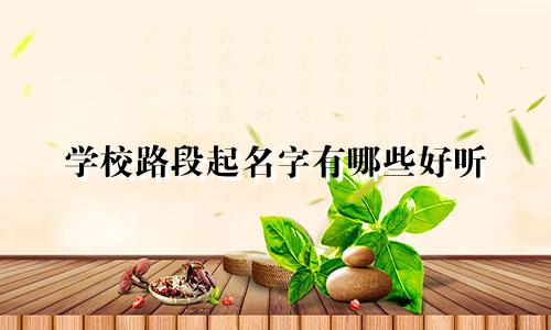 学校路段起名字有哪些好听