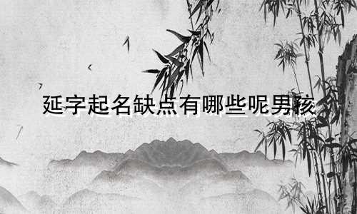 延字起名缺点有哪些呢男孩