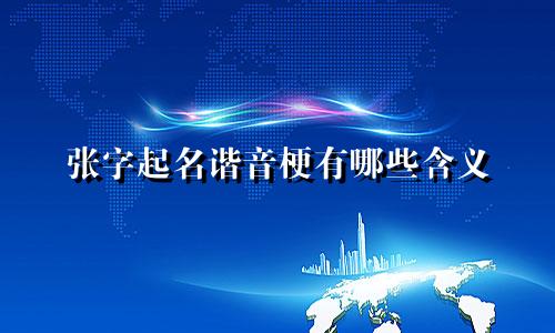 张字起名谐音梗有哪些含义