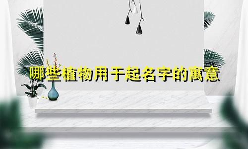 哪些植物用于起名字的寓意