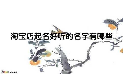 淘宝店起名好听的名字有哪些