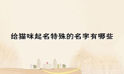 给猫咪起名特殊的名字有哪些