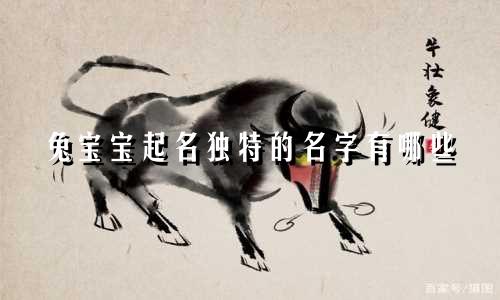 兔宝宝起名独特的名字有哪些
