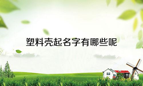 塑料壳起名字有哪些呢
