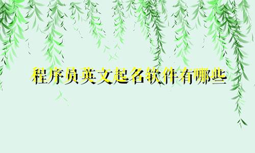程序员英文起名软件有哪些