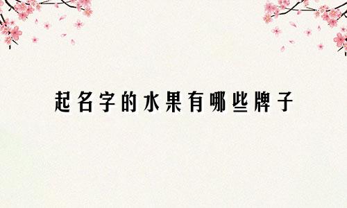 起名字的水果有哪些牌子