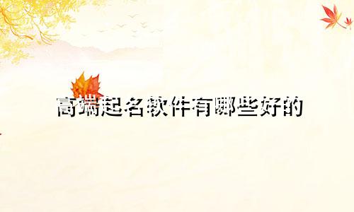 高端起名软件有哪些好的