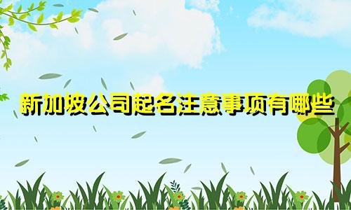 新加坡公司起名注意事项有哪些