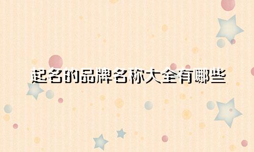 起名的品牌名称大全有哪些