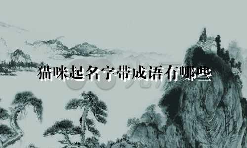 猫咪起名字带成语有哪些