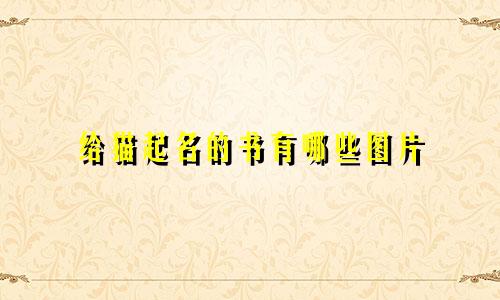 给猫起名的书有哪些图片