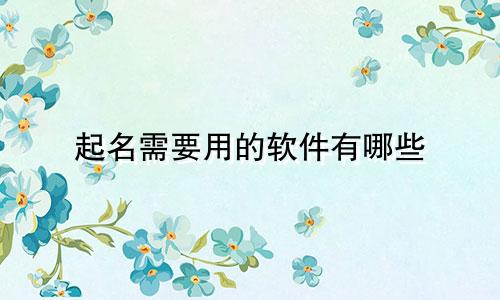 起名需要用的软件有哪些