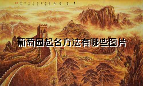 葡萄园起名方法有哪些图片