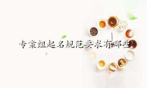 专案组起名规范要求有哪些