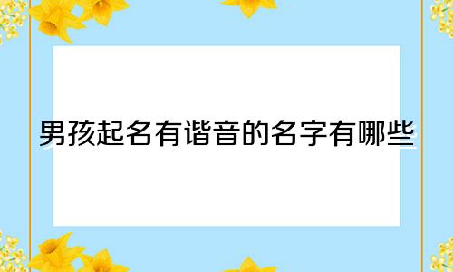 男孩起名有谐音的名字有哪些