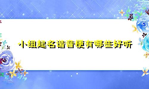 小组起名谐音梗有哪些好听