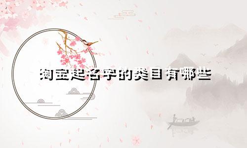 淘宝起名字的类目有哪些