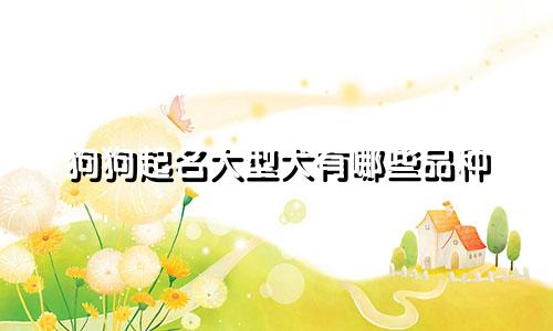 狗狗起名大型犬有哪些品种
