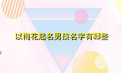 以梅花起名男孩名字有哪些