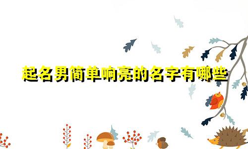 起名男简单响亮的名字有哪些