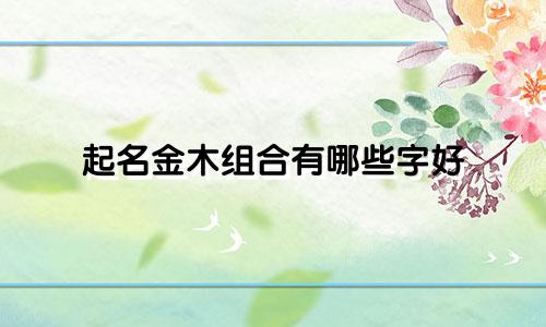 起名金木组合有哪些字好