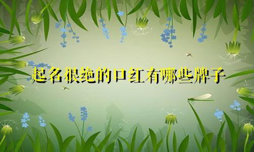 起名很绝的口红有哪些牌子