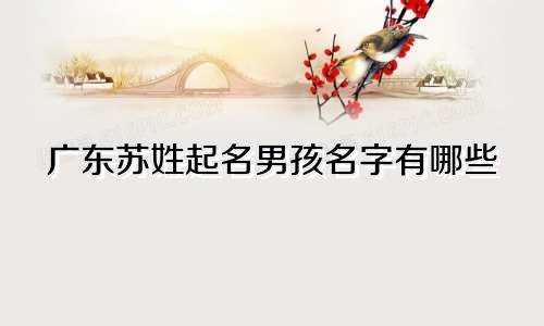 广东苏姓起名男孩名字有哪些