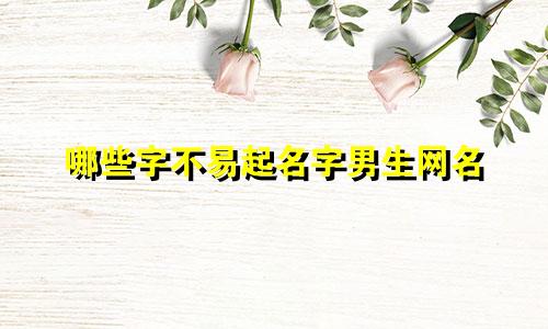 哪些字不易起名字男生网名