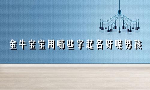 金牛宝宝用哪些字起名好呢男孩