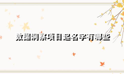 数据洞察项目起名字有哪些