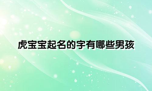虎宝宝起名的字有哪些男孩