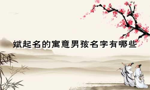 斌起名的寓意男孩名字有哪些