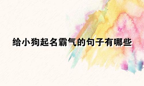 给小狗起名霸气的句子有哪些