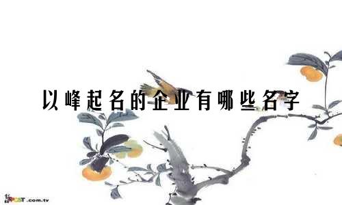以峰起名的企业有哪些名字
