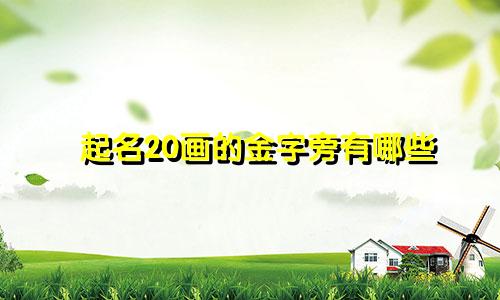 起名20画的金字旁有哪些