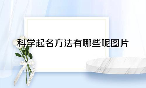 科学起名方法有哪些呢图片