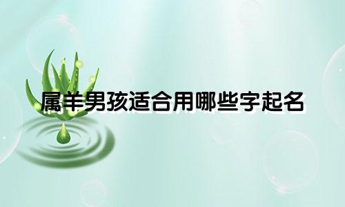 属羊男孩适合用哪些字起名