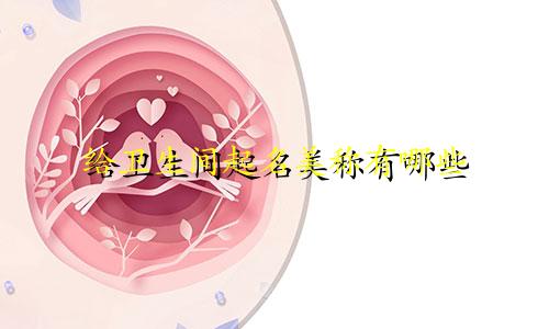 给卫生间起名美称有哪些