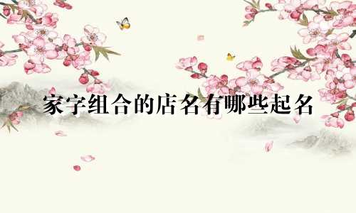 家字组合的店名有哪些起名