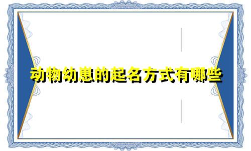 动物幼崽的起名方式有哪些