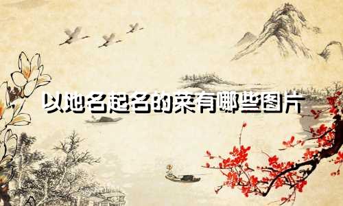 以地名起名的菜有哪些图片