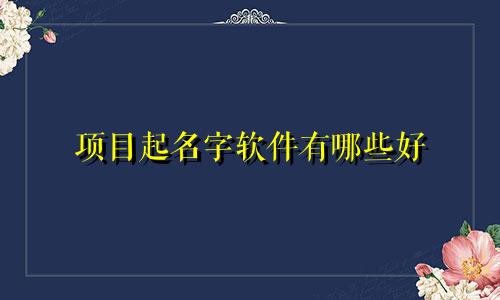 项目起名字软件有哪些好