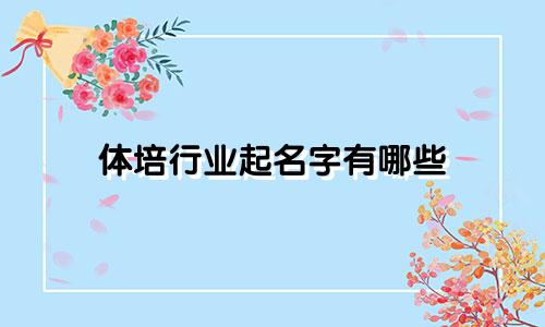 体培行业起名字有哪些