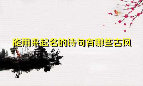 能用来起名的诗句有哪些古风